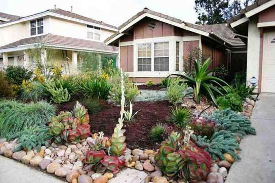 Hire Professional Gardener & Maintenance Staff | Call us for your Home and Office Gardening & Landscaping. image 9