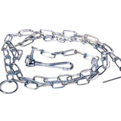 Dog Chain image 1