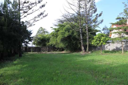 Residential Land in Lavington image 3