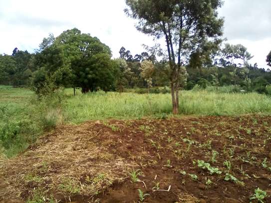 Land at Limuru image 8