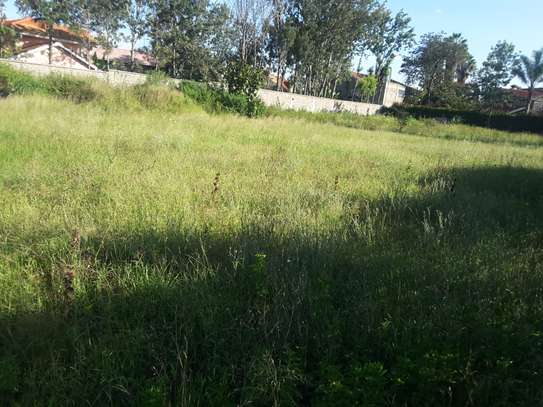 Lovely Half Acre Land in Ongata Rongai image 6