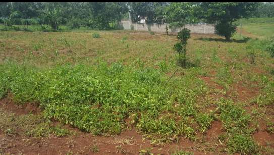0.5 ac Land at Kiukenda Estate image 17