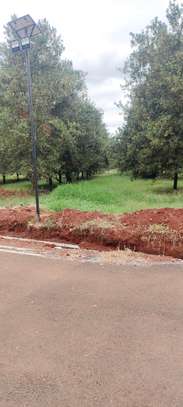 Residential Land at Gatanga Road image 9