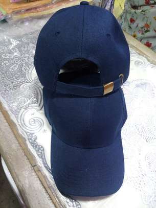 CAPS image 7