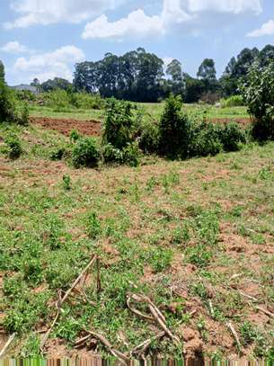 Prime 3 Acre Land For Sale in Shihome,Malava , Kakamega image 7