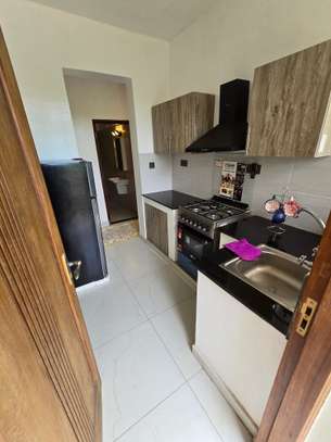 1 Bed Apartment with En Suite at Mtambo image 19