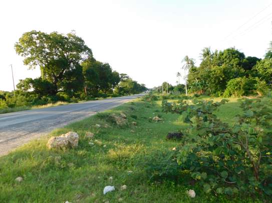 20 ac Land at Kikambala image 4