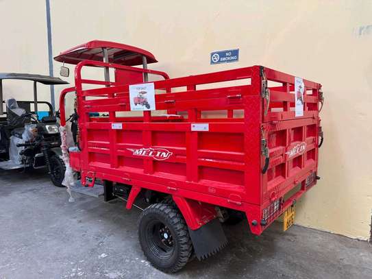 300 cc MECIN CARGO TUK TUK image 3