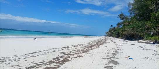 DIANI PRIME THIRD ROW BEACH PLOTS READY FOR TAKING image 2