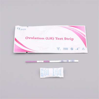 Ovulation Test (10 Strips) Plus 1 FREE Pregnancy Test Strip image 2