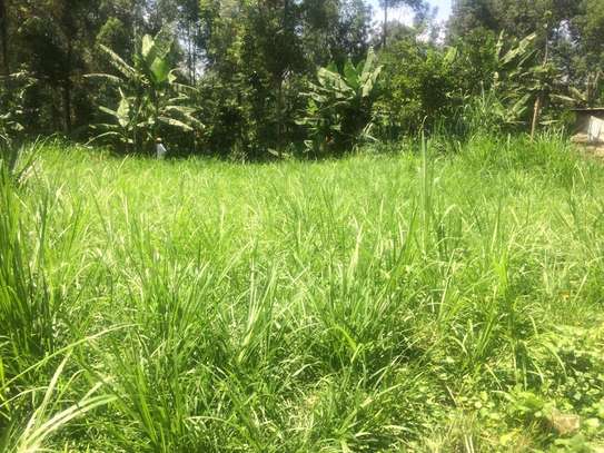 0.41 Acres prime Land For Sale in Malava, Kakamega County image 2