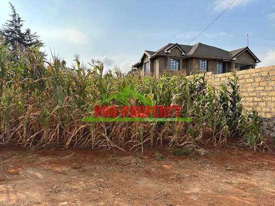 0.06 ha Residential Land at Gikambura image 11