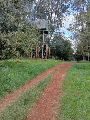 0.5 ac Land at Thika Grove Chania-Opposite Blue Post Hotel image 4
