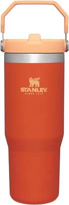 STANLEY IceFlow Stainless Steel Tumbler with Straw image 4