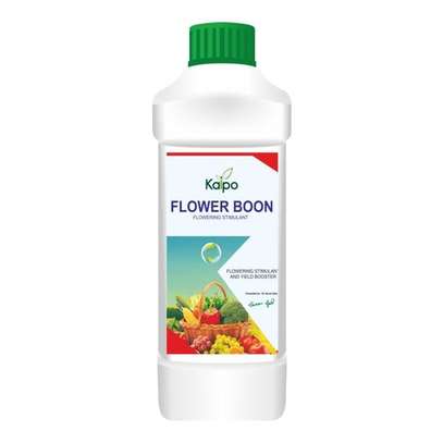 BOOM FLOWER PLANT ENERGIZER AND YIELD BOOSTER image 3
