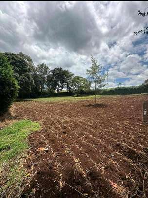 ½ Acre land on sale Kitisuru Estate Nairobi image 1