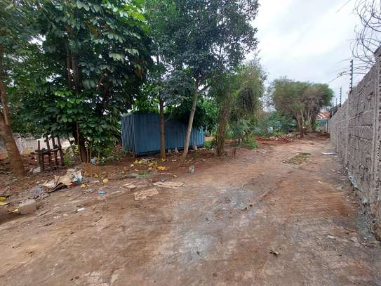 Residential Land at Mimosa Road image 2