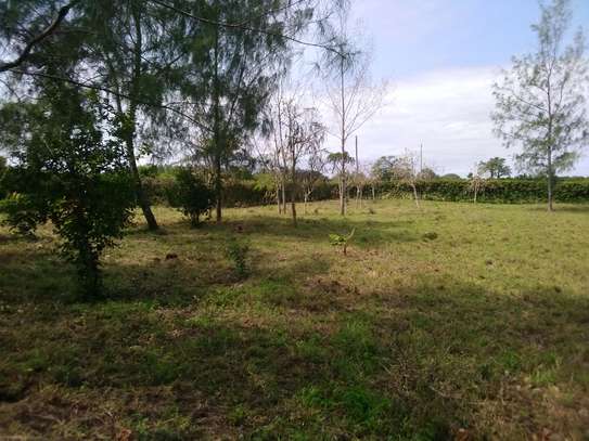 Prime Plots Diani Galu 1/4 Acre, 700m to Beach image 3