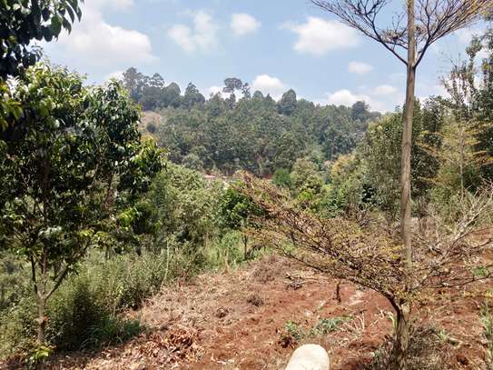 Residential Land at Fronting Limuru Road image 12
