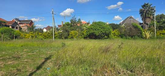 50x100fts plot for sale In Ruiru varsityville estate image 2