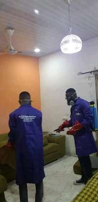 Bedbugs Fumigation Services Nairobi image 1