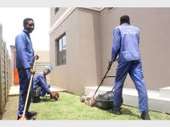 Bestcare Gardener Services in Karen,Langata,Lavington image 2