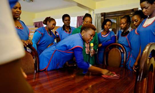 Home Cleaners,Domestic Workers, maids, babysitters, nannies, cooks, Caregivers & gardeners in Nairobi. image 8
