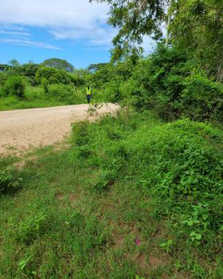 Commercial Land in Mtwapa image 17