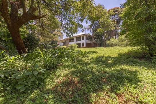 3.6 ac Residential Land in Spring Valley image 11