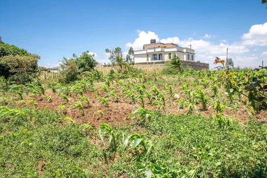 Prime Residential plot for sale in Kikuyu, kamangu image 7