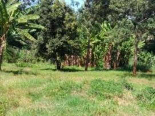 1 ac Land in Muthaiga image 4