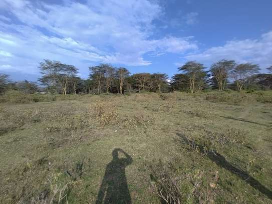 Land in Naivasha image 9