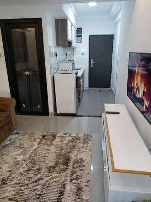 Serviced Studio Apartment with En Suite at Gitanga Rd image 8