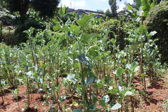 4 Bed Townhouse with En Suite at Loresho image 19