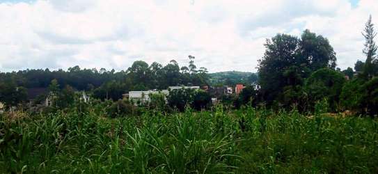 Prime Residential plot for sale in kikuyu, ondiri image 9