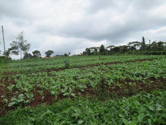 3.25 Acres Of Land For Sale in Ruku/Wangige image 9