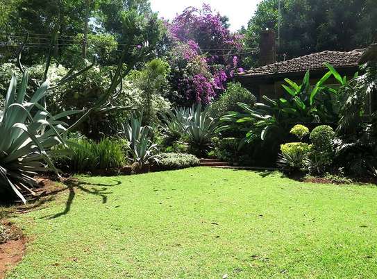 FOR SALE – PRESTIGIOUS PROPERTY LAVINGTON, NBI (0.8 ACRES) image 11
