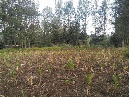 0.5 ac Residential Land in Ngong image 3