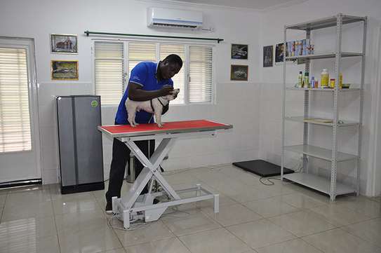 Mobile Dog Grooming - Best in Nairobi And Mombasa image 1