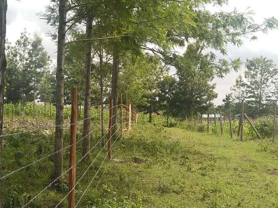 500 m² Residential Land in Ngong image 13