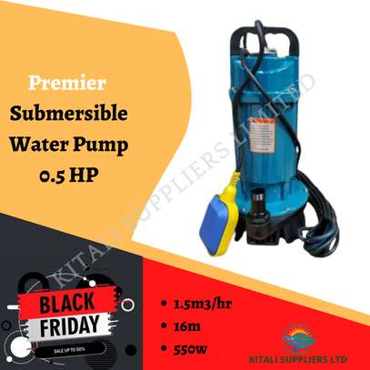 PREMIER SUBMERSIBLE PUMP 0.5HP image 1