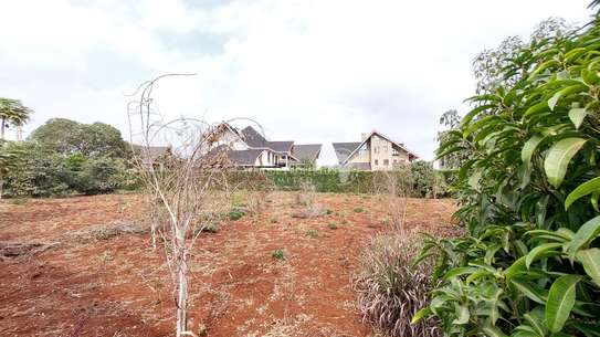 Prime 1/4 acre plot for sale in Daykio Bustani Ruiru image 4