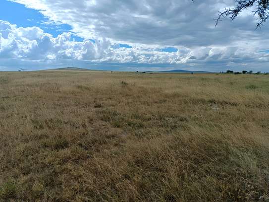 Land for sale in Lenchani image 1
