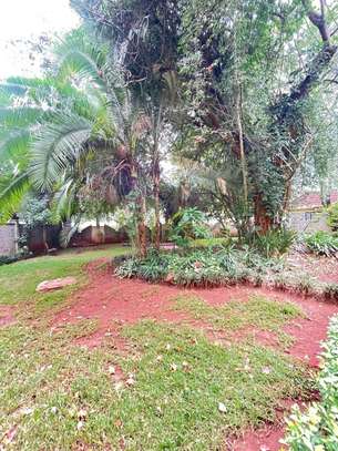 3 Bed Apartment with En Suite in Lavington image 17