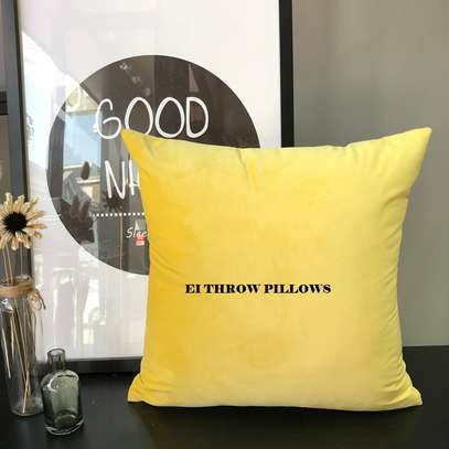 THROW PILLOW AND CASES image 4