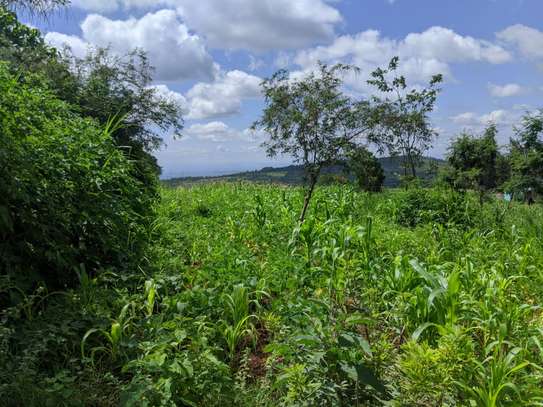 1/4 and Full Acre Plots for sale in Malindi image 3