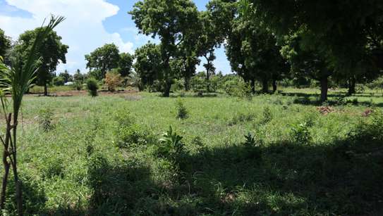 2,023 m² Land in Mtwapa image 11
