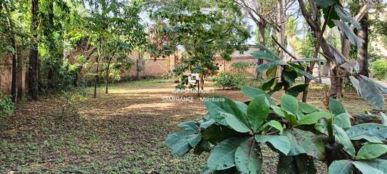 0.8 ac Land at Beach Road image 4