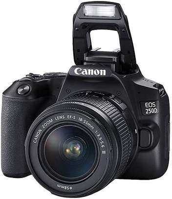 Canon EOS 250D + EF-S 18-55 III KIT image 1