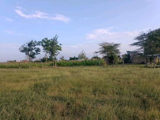 3 (50 by 100)  fertile land plots in Kamulu image 5